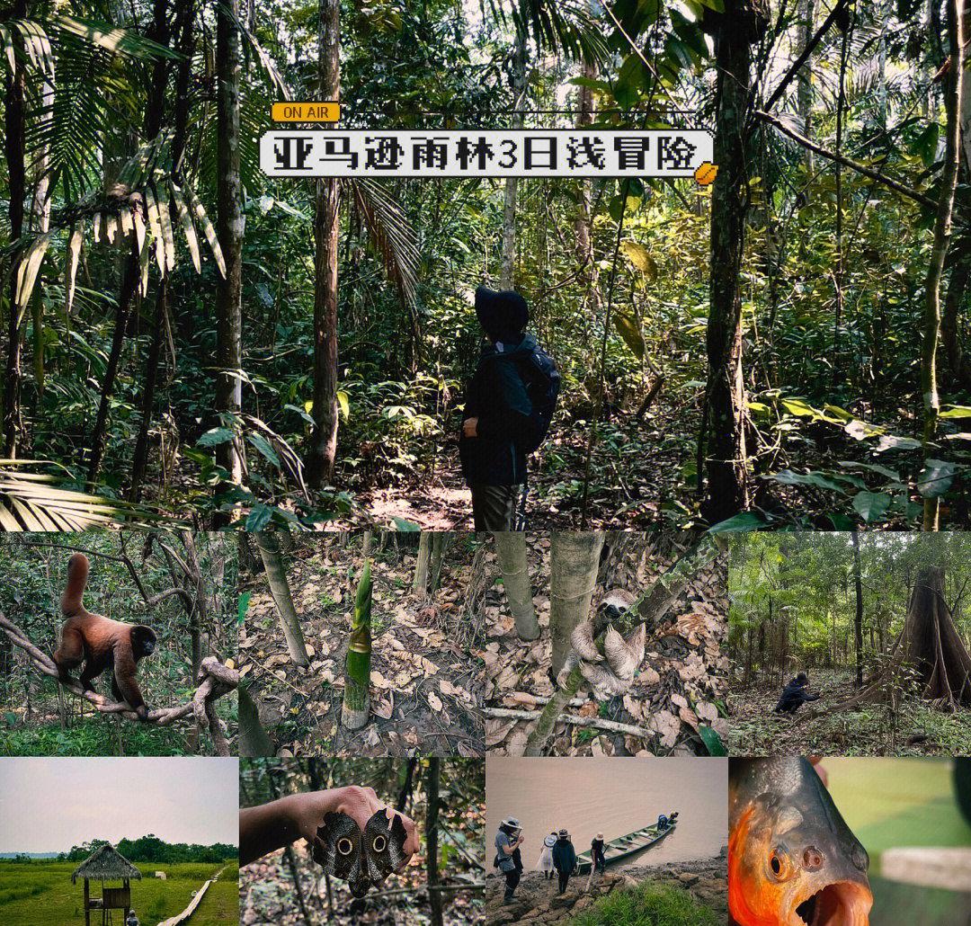 范海辛的冒险之旅：准备好了吗？