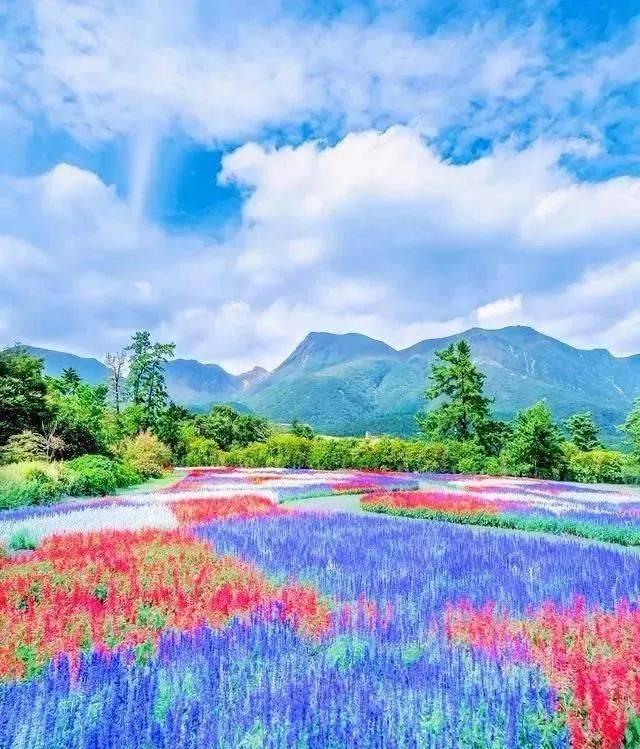 src-TVRZNMTY5MTMwMjI4NQaHR0cHM6Ly9wNy5pdGMuY24vcV83MC9pbWFnZXMwMy8yMDIxMDIyOC81Y2JlZTdkYjczMjM0OTQzOWU5ZmM0OGZkZWZhMTI5Yy5qcGVn.jpg