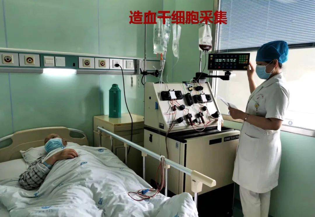明日方舟资深干员tag搭配_明日方舟中资深干员_明日方舟资深干员tag最新