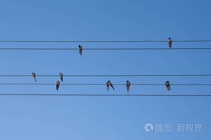 燕子简谱教唱视频_小燕子简谱_燕子简谱歌谱