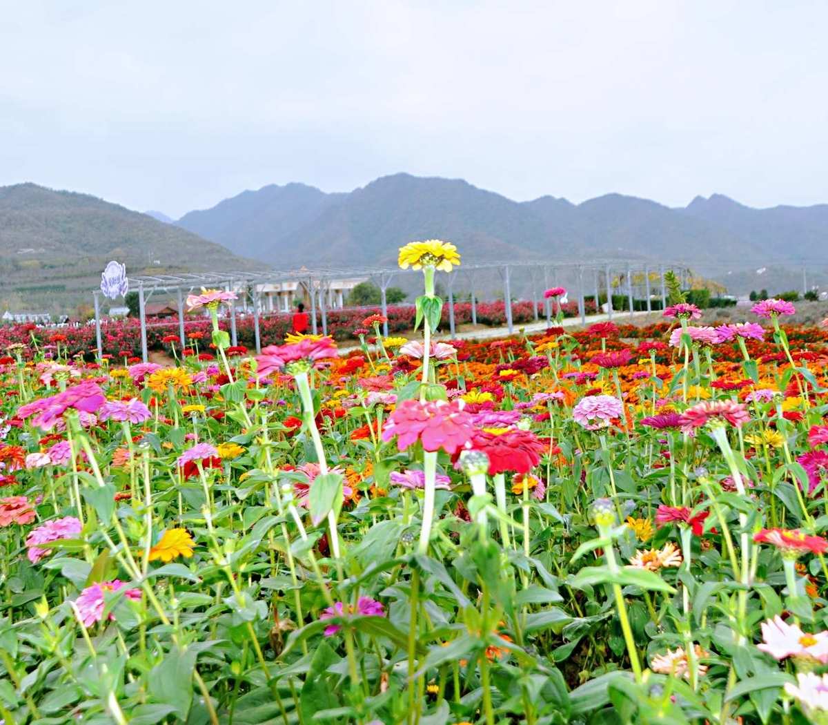 卉盛花园_沈阳卉盛家园物业电话_卉盛家园