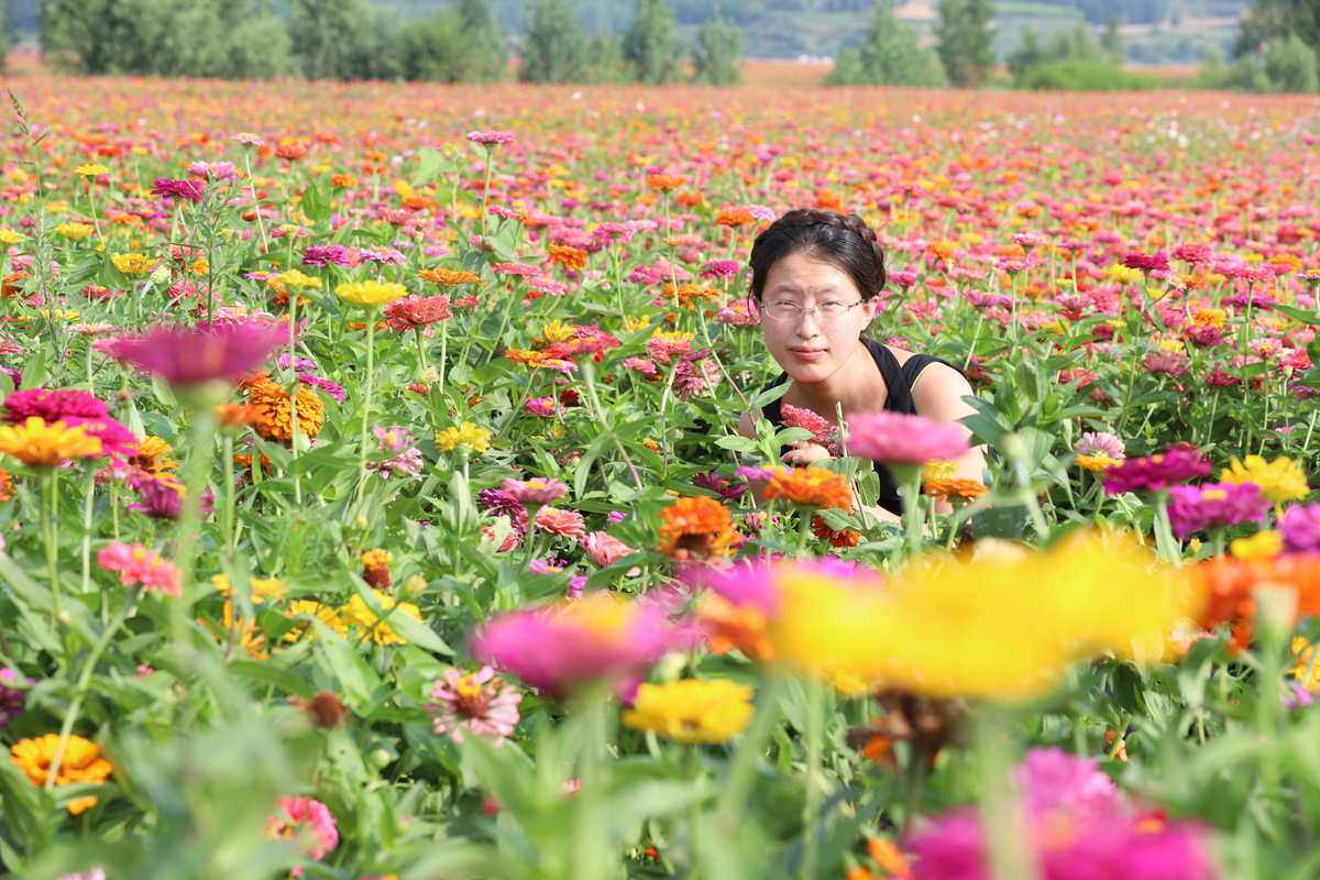 卉盛家园_沈阳卉盛家园物业电话_卉盛花园