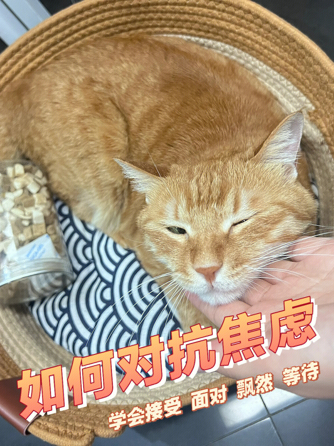 游侠文明6点继续没反应_游侠对战平台文明6