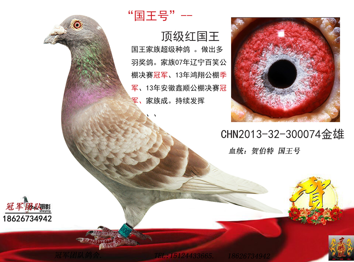 国王游戏终极女主_国王游戏终极08_卢名星 国王游戏