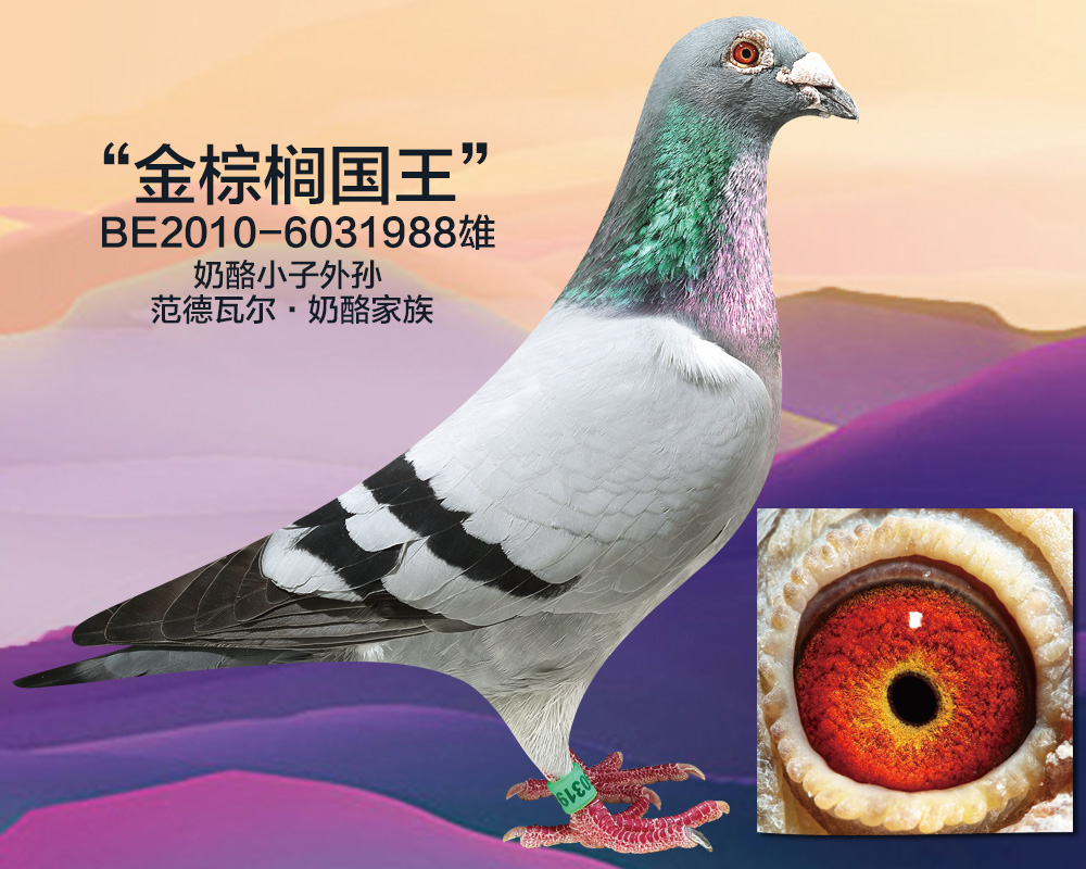 国王游戏终极08_卢名星 国王游戏_国王游戏终极女主