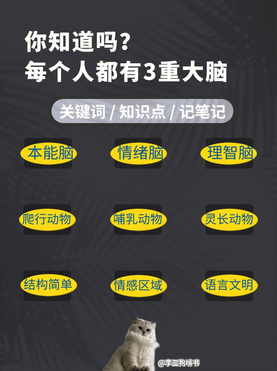 最强大脑王昱珩视频水_最强大脑水哥个人资料_陈志强最强大脑资料