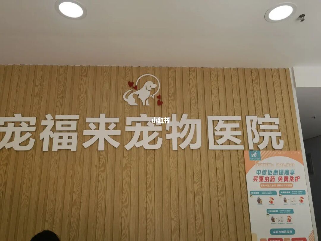 南宁友爱立交附近的宠物店_南宁宠物医院大全网_广西南宁303军医院官网