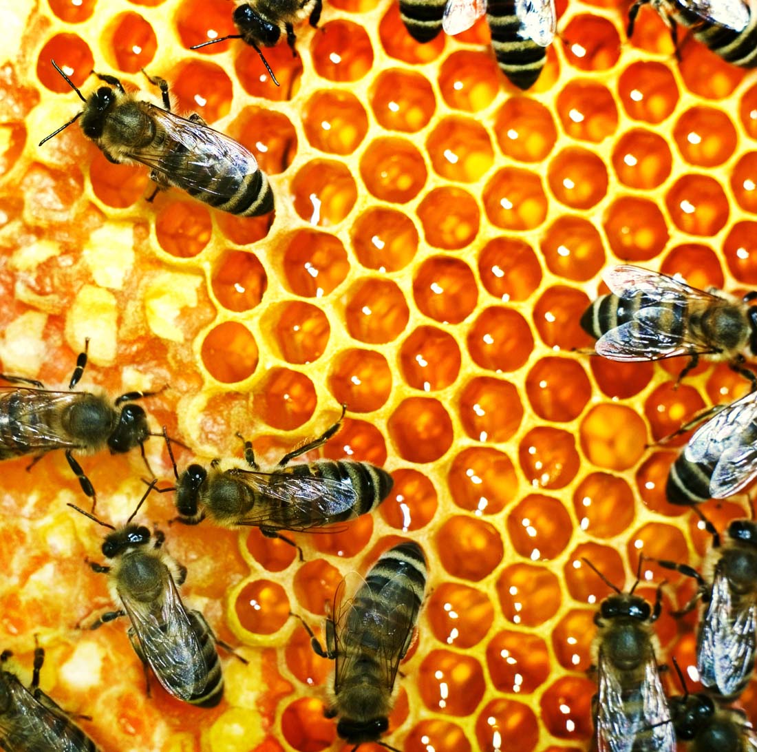 卡牌游戏单机_hive卡牌游戏_卡牌游戏排行榜