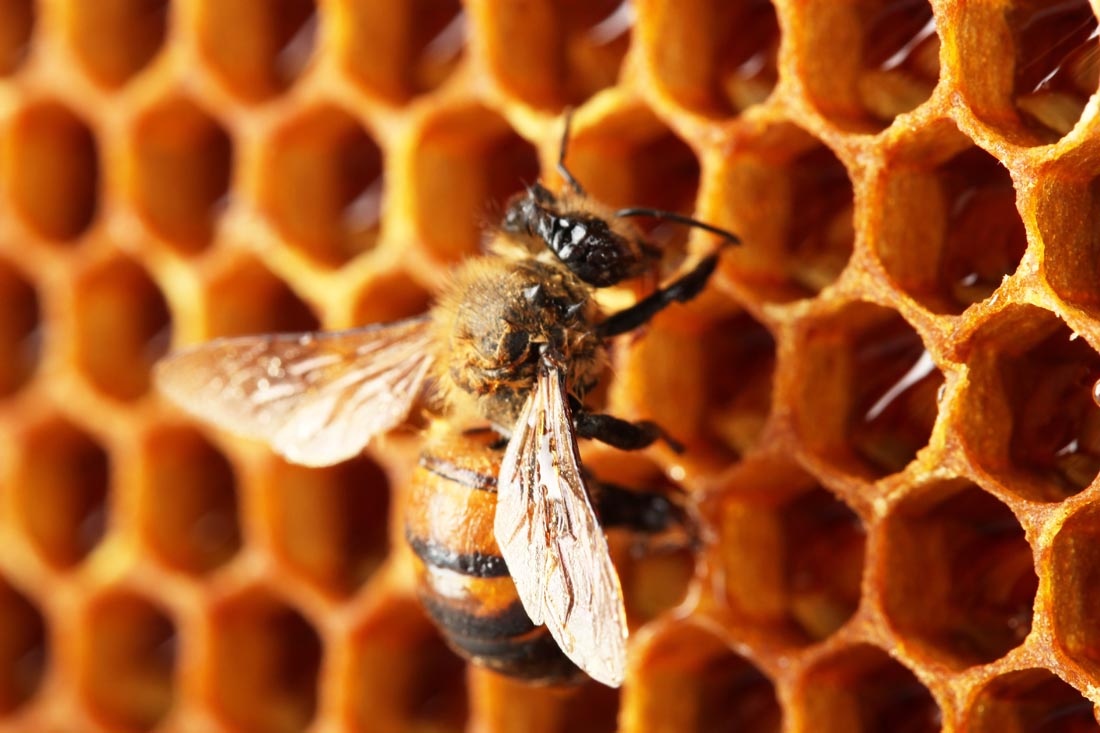 卡牌游戏排行榜_卡牌游戏单机_hive卡牌游戏