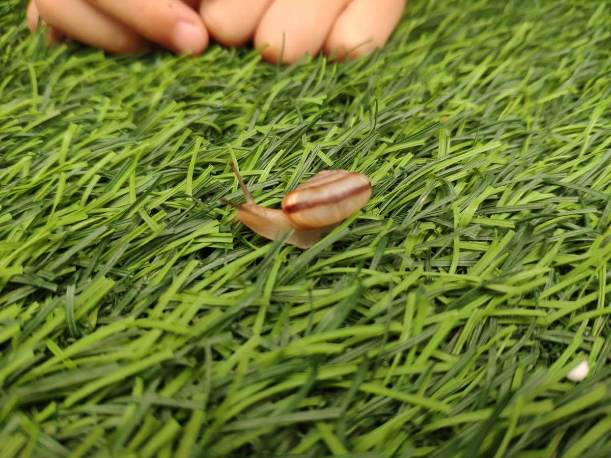 蜗牛最热门游戏_苹果手机热门游戏_游戏交友热门