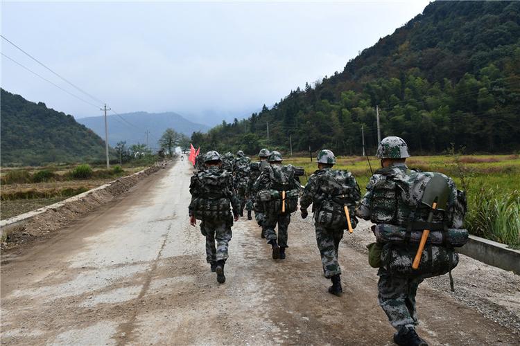 明日方舟资深干员词条一览_明日方舟资深干员tag搭配_明日方舟资深干员tag最新