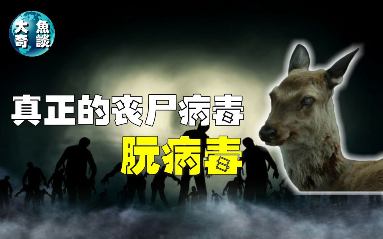 生化危机浣熊市行动ps4_生化危机浣熊市行动闪退_生化危机浣熊市行动玩起来好卡
