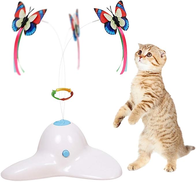 老鼠挑战猫_猫和老鼠找茬_老鼠找猫什么意思