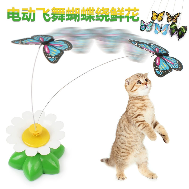 老鼠找猫什么意思_猫和老鼠找茬_老鼠挑战猫