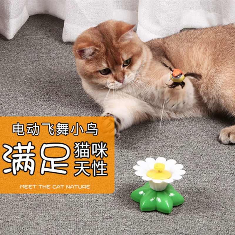 老鼠找猫什么意思_老鼠挑战猫_猫和老鼠找茬