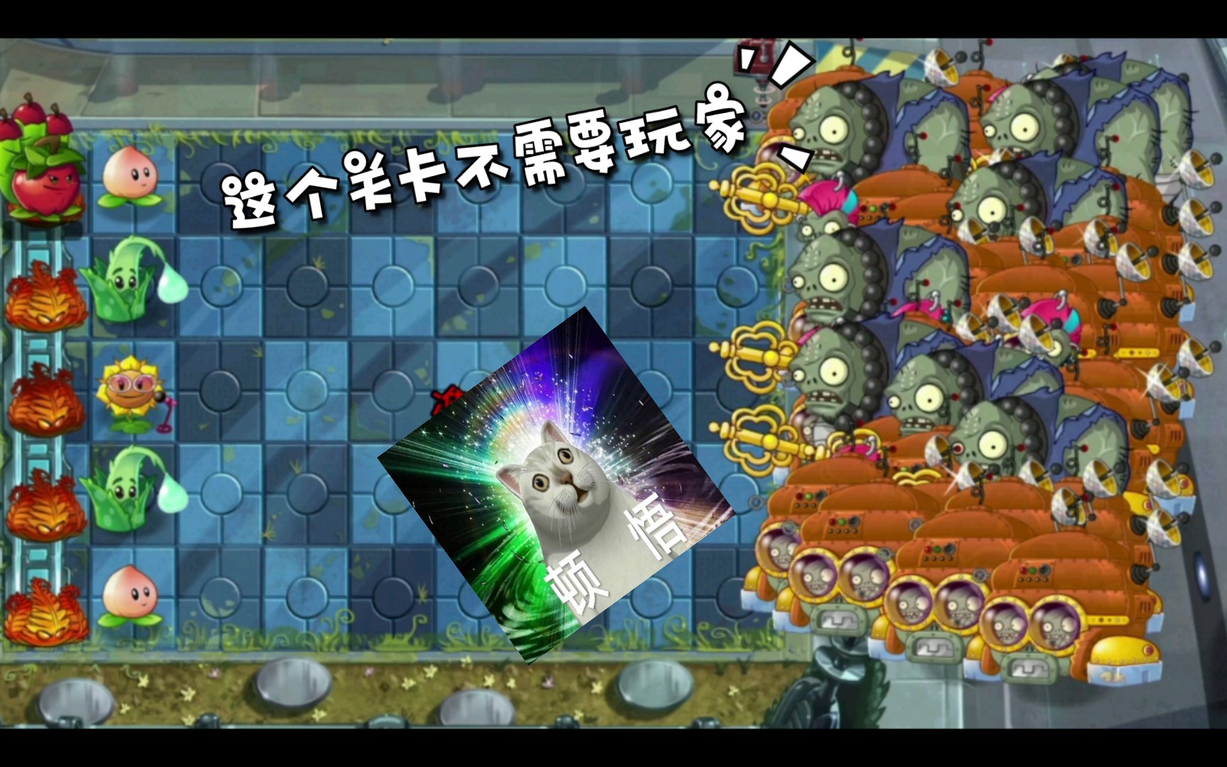 植物大战僵尸ds_僵尸大战植物的游戏_僵尸大战植物单机版下载
