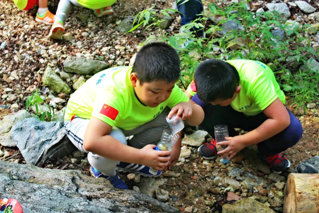 生存荒岛游戏_生存荒岛破解版_荒岛生存2
