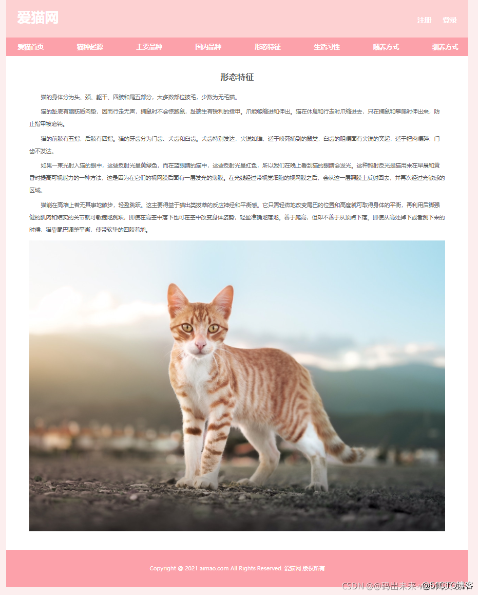 短视频网页版源码_快猫短视频网页版_猫短视屏
