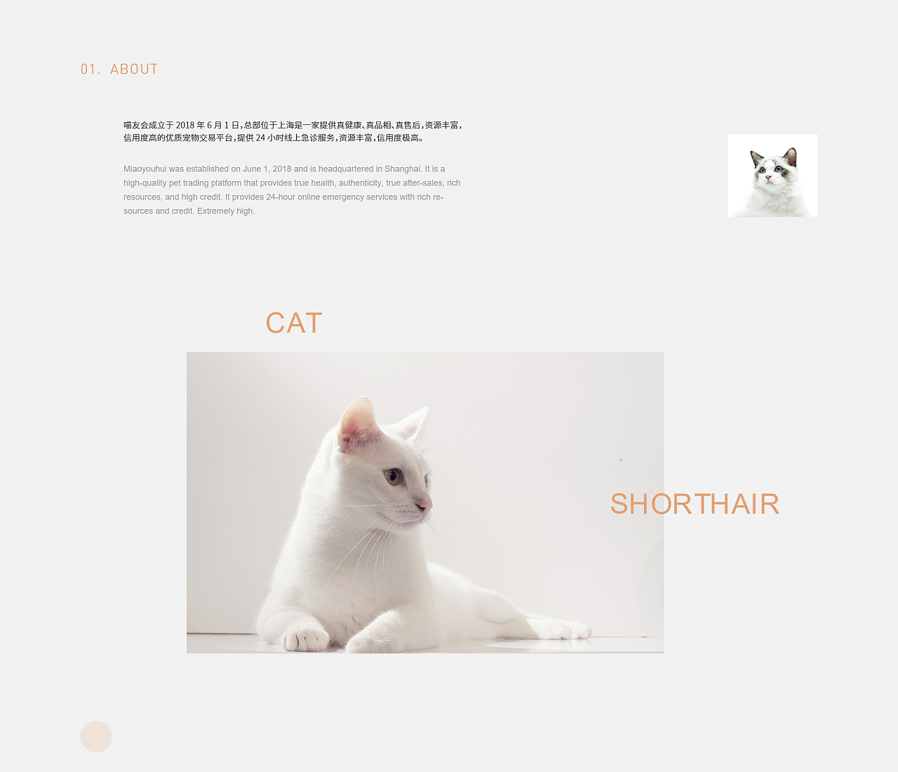 快猫短视频网页版_猫短视屏_短视频网页版源码