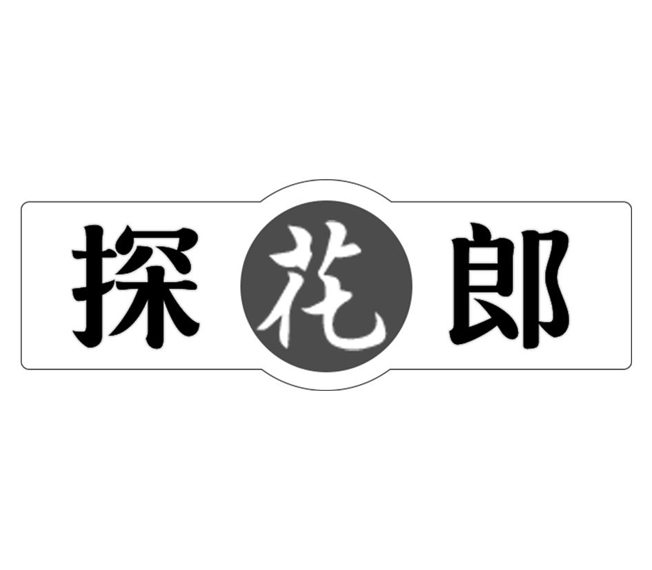 探花软件怎么下载的