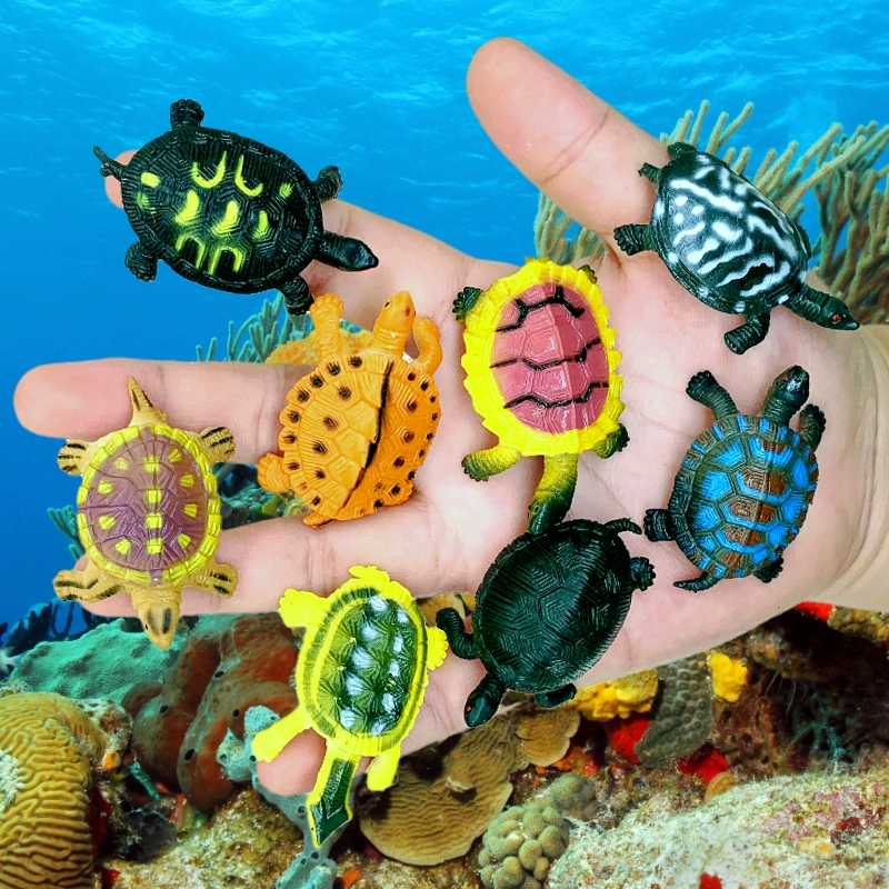 海龟世界上最长寿的动物_海龟世界最长寿的海洋生物_我的世界海龟