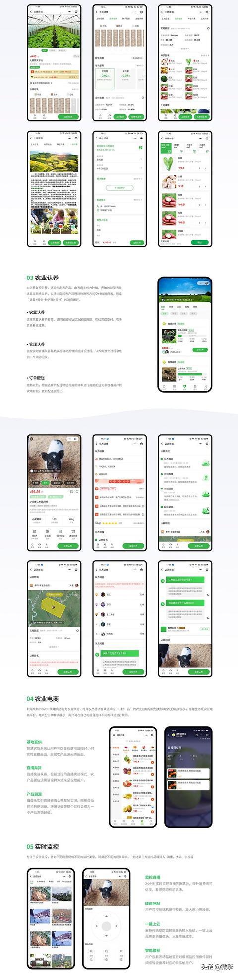 双龙什么玩法_双龙游戏_双龙是怎么玩的