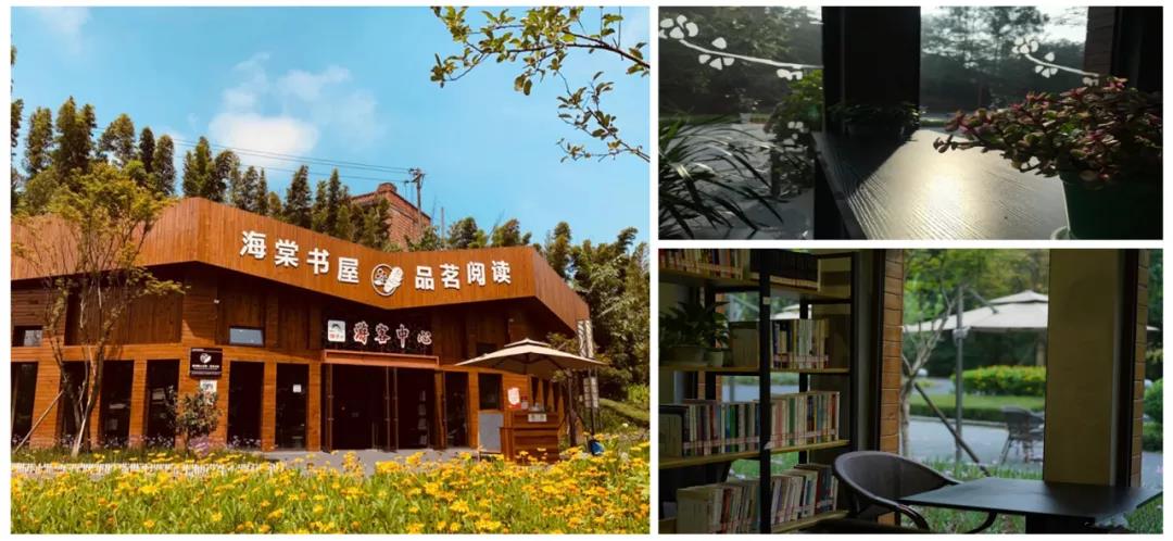 海棠书屋网址_海棠书屋网址是啥