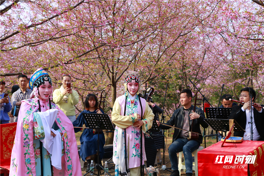 樱花校园玩游戏_樱花校园怎么玩_樱花校园玩躲猫猫