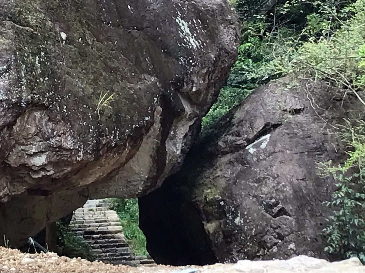 岩谷幽兰_幽谷县岩_原神岩中幽谷怎么开