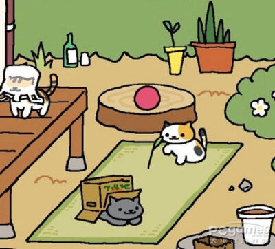 猫咪后院攻略_猫咪后院游戏_猫咪后院