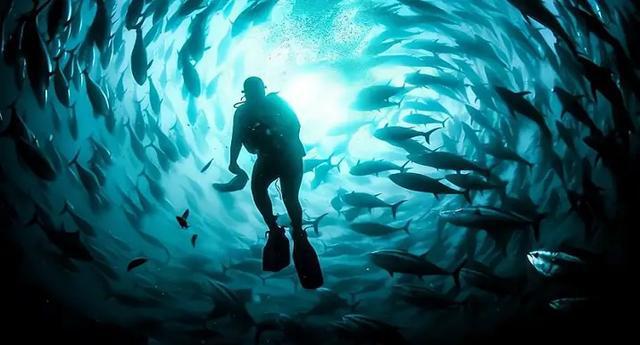 深海迷航下载手机版_深海迷航英文_深海迷航电影