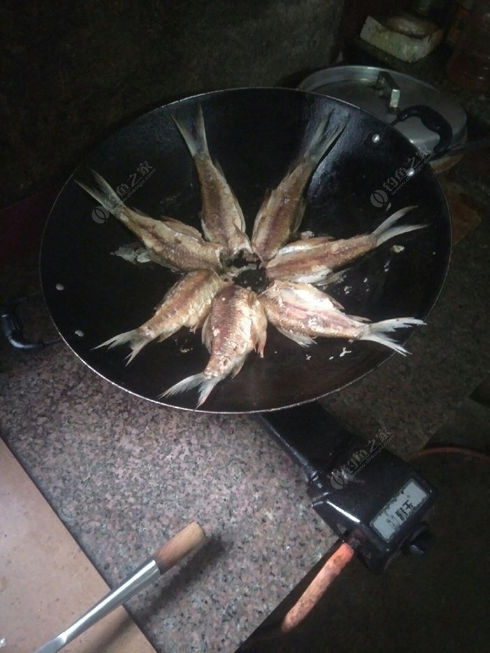 星露谷物语红鲷鱼冬天去哪里钓_星露谷物红鲷鱼在哪里钓_星露谷物语红鲷鱼