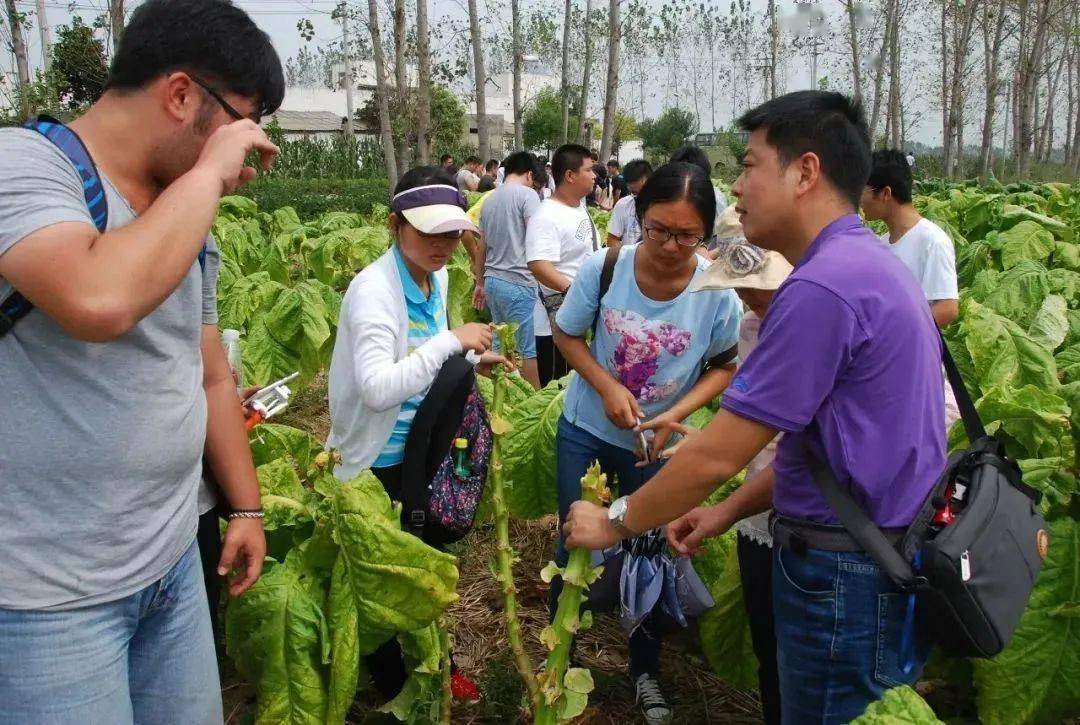 烟草学院网络学院_烟草学院网络学院学分要求多少_烟草网络学院