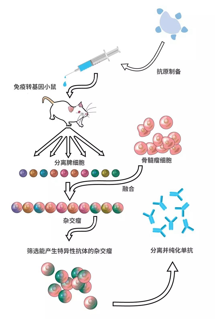 击败瘴晦瘤解密顺序_不生不死之瘴_伊苏起源托尔过瘴血领域