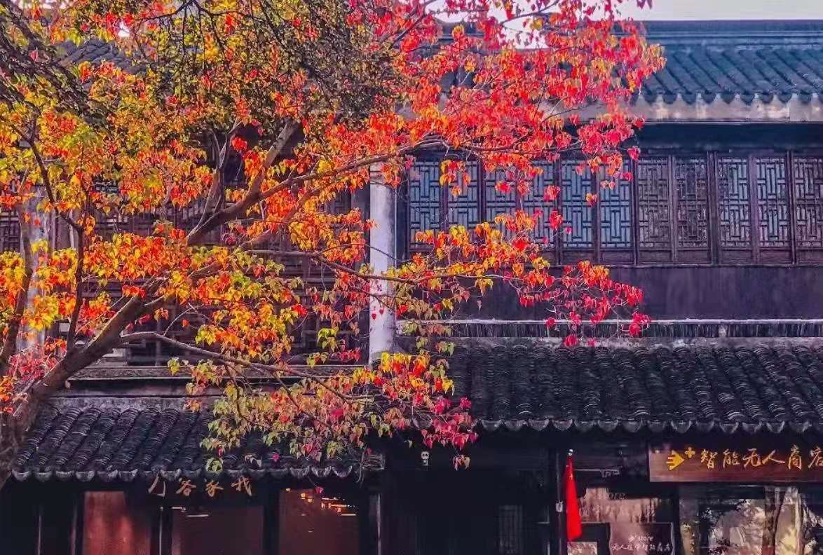 时间之海_潮汐表怎么看赶海时间_日本核污水排海时间