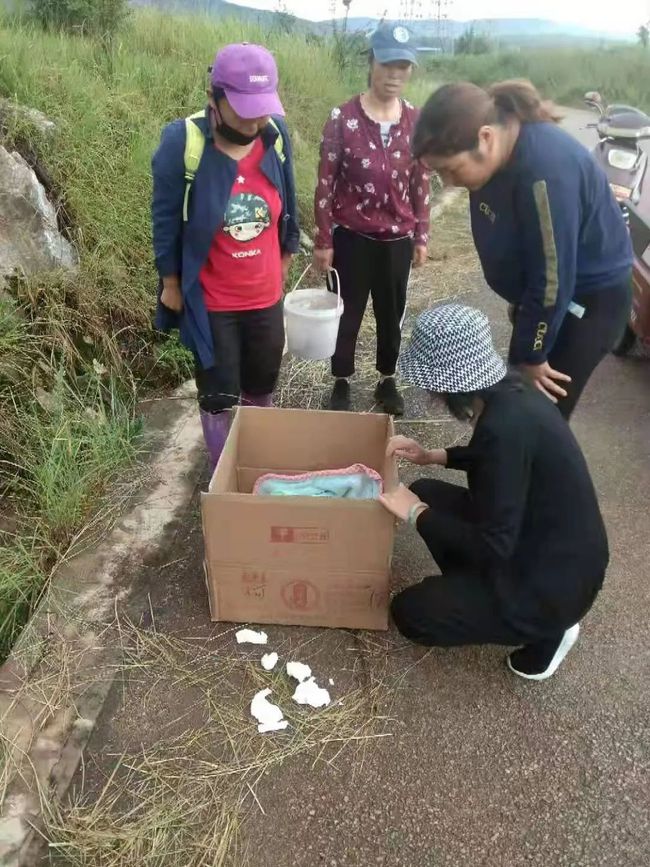 图片拾荒者_拾荒者图片_拾荒者背影图片