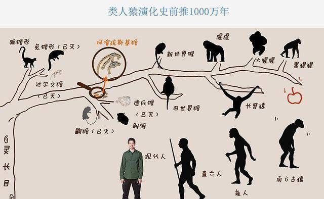 猿族时代破解版内购免费_猿族时代_猿族时代官网