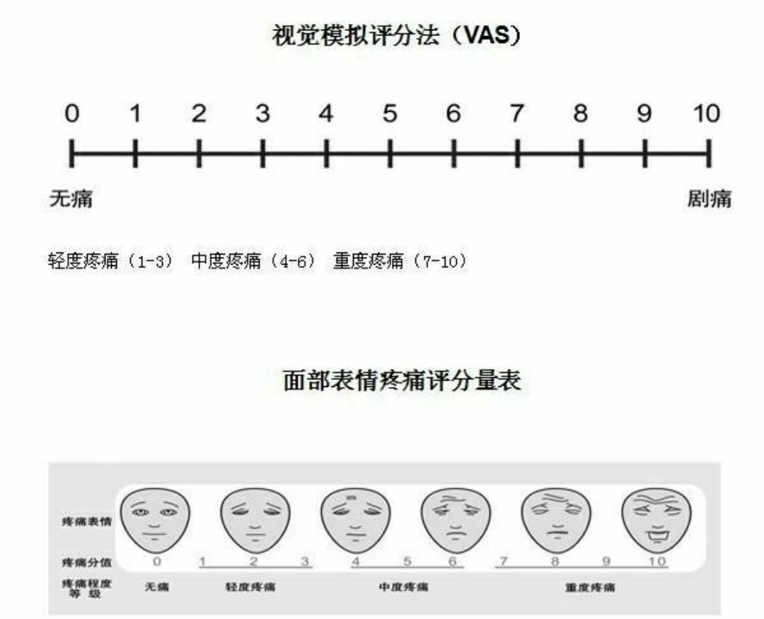痛风会在哪些部位痛_痛痛什么什么