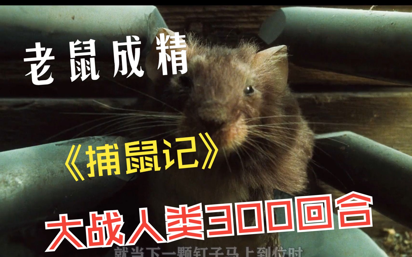 猫咪大作战是什么游戏_猫咪大作战_猫咪大作战敌人类型