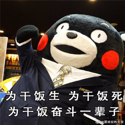 干饭人是什么意思_干饭人是褒义还是贬义_什么是干饭人