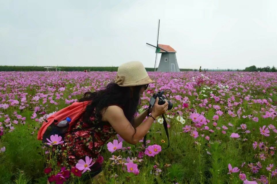 朝华夕月踏歌归_朝花夕月踏歌归_朝花夕月踏歌归明教遥远绿洲