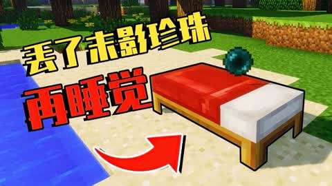 手机版mc传送门大全_我的世界手机版传送模组免费_手机版mc如何传送