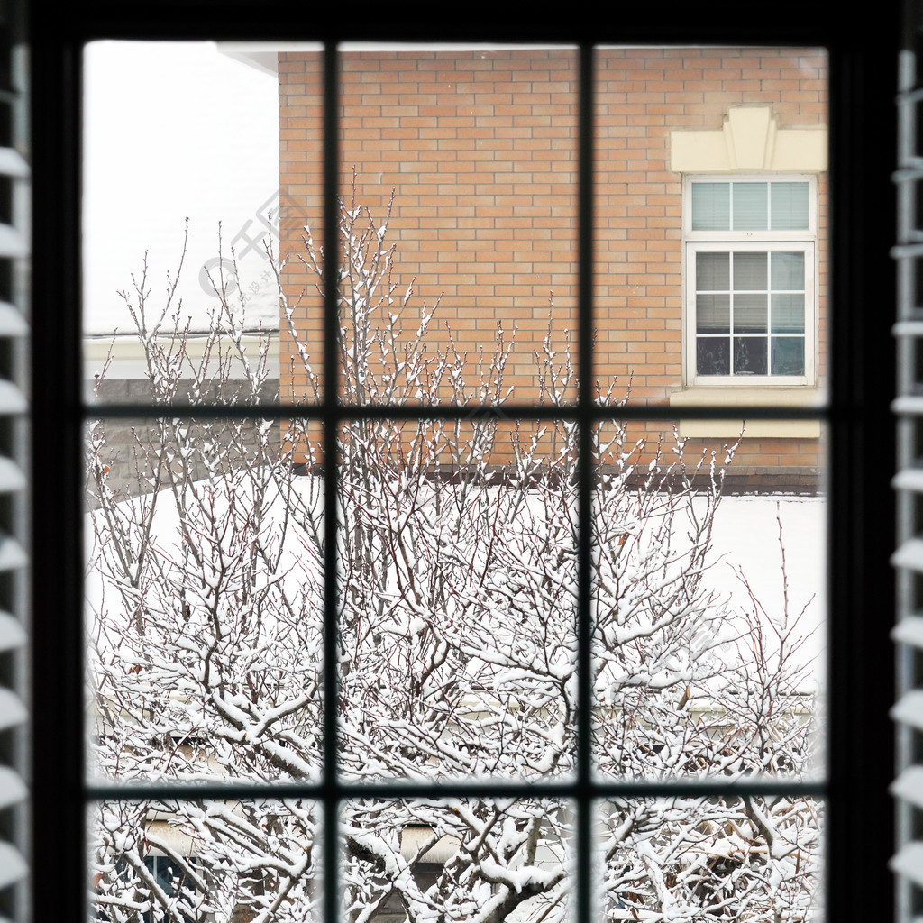 雪屋是哪里的_我的世界雪屋_雪屋旅游景点