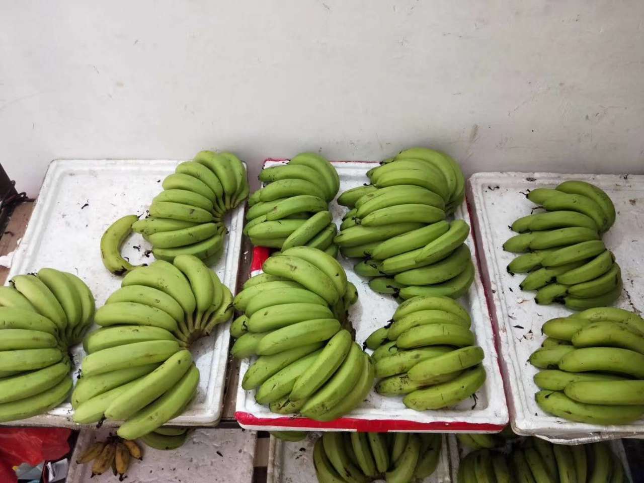 香蕉免费_香蕉免费_香蕉免费