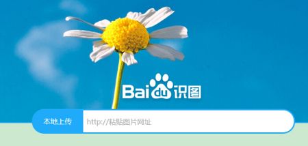 百度识图网页版怎么用_百度识图网页版式_百度识图网页版用不了