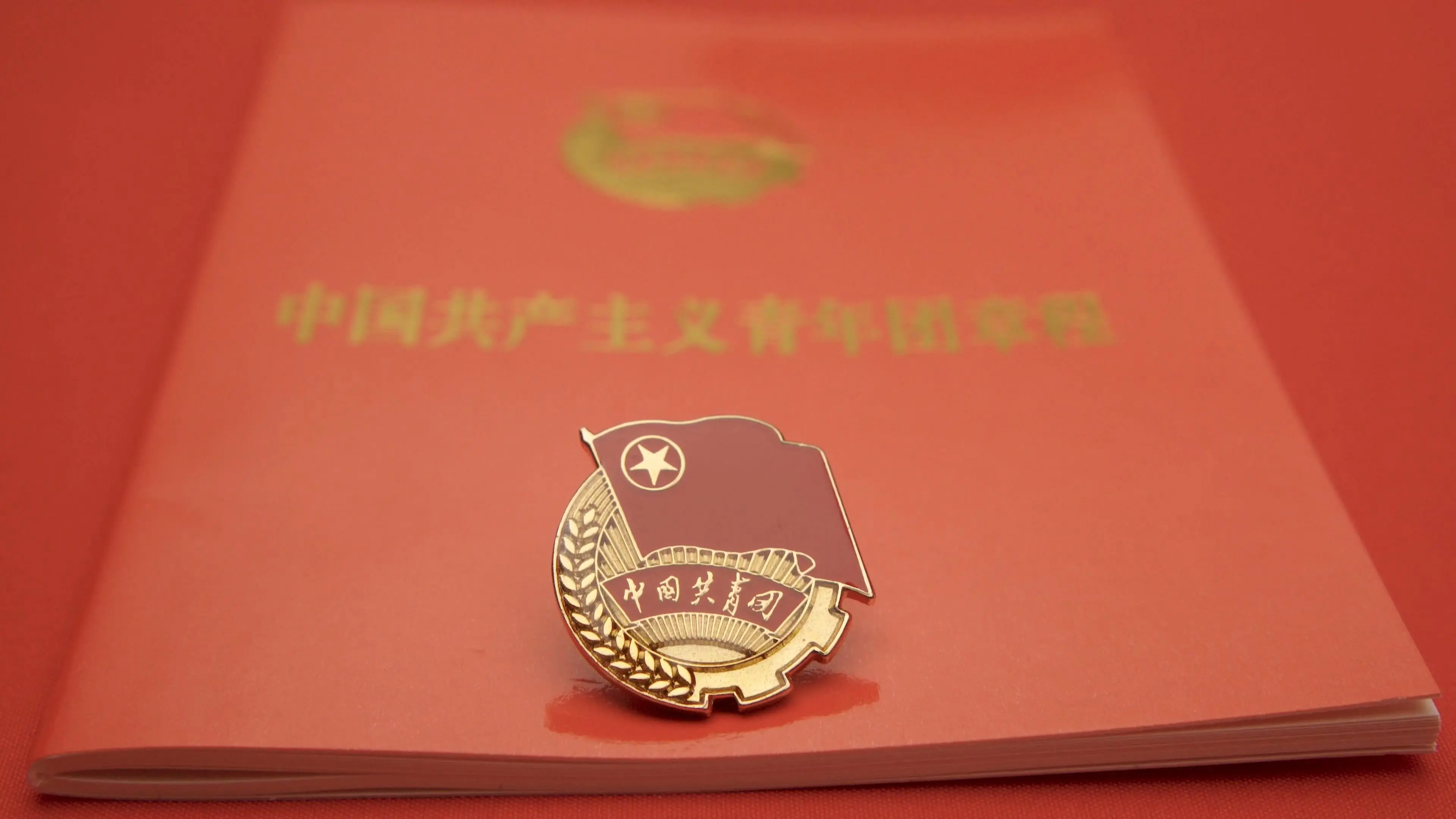 中国共青团智慧团建_共青团智慧建网_智慧团建青年共青团