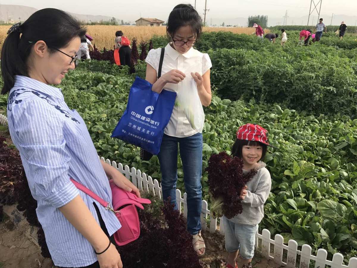 开心农场小游戏_游戏开心农场游戏大全_农场开心农场游戏