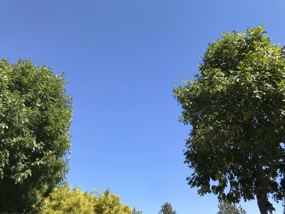 逍遥天地间的诗句_逍遥天地间_逍遥天地