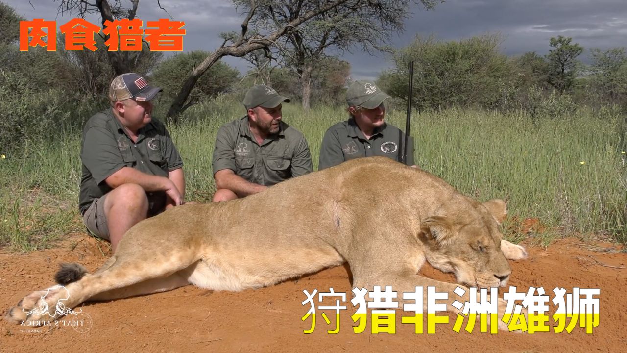 猎人游戏_猎人游戏指南针指令_猎人游戏手机版