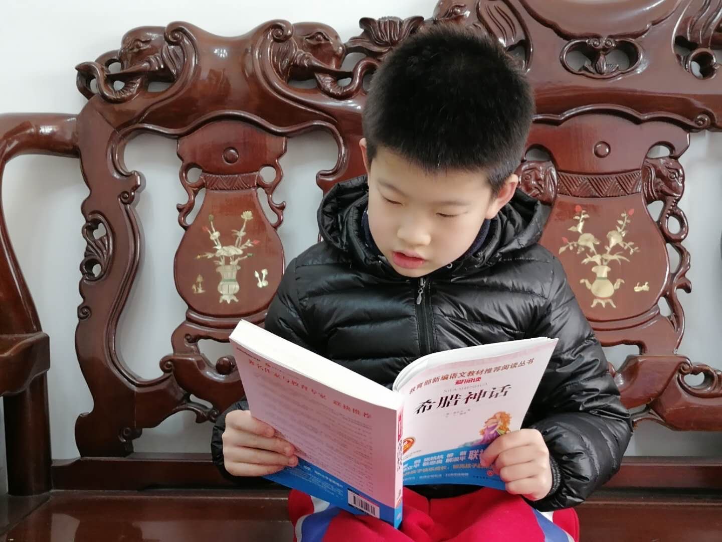 饭团看书破解版_饭团看书免费看书版_饭团看书去广告版